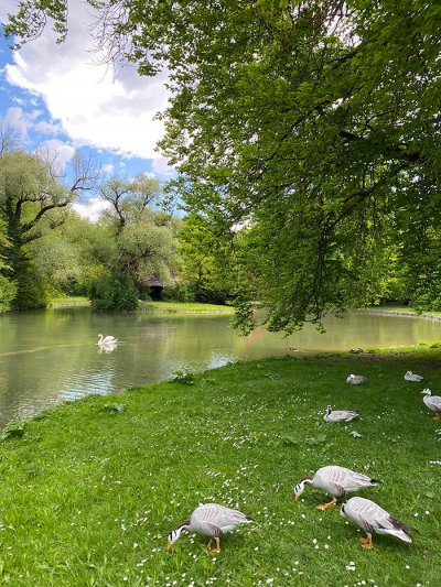 Englischer-Garten-Munich