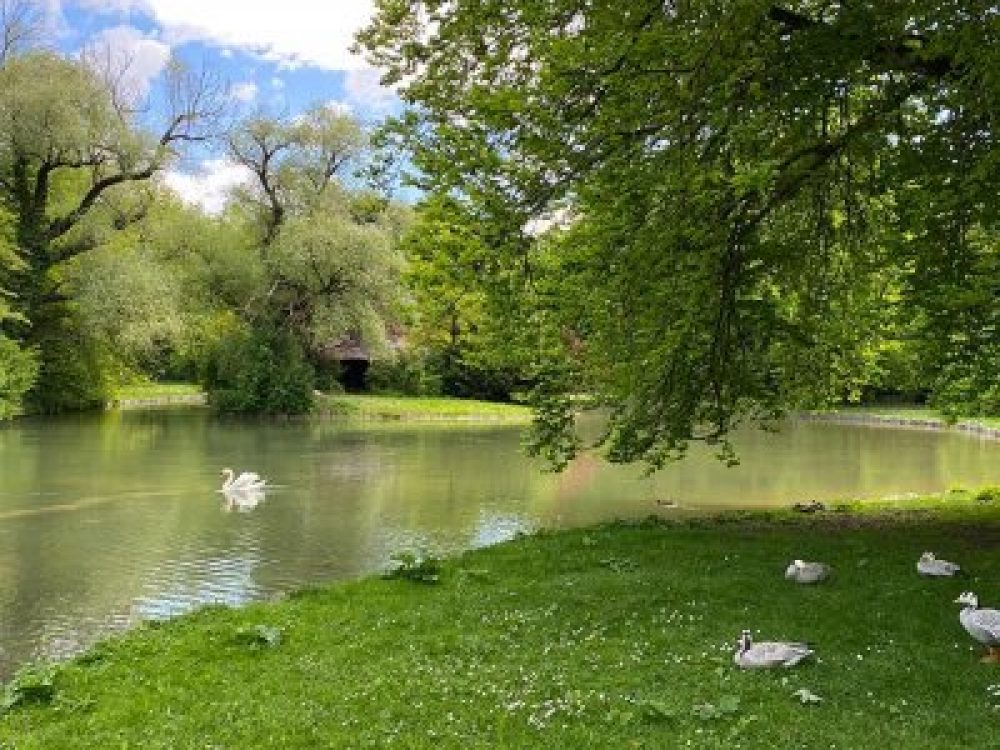 Englischer-Garten-Munich