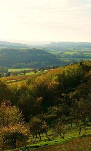 Herbst-Hohenlohe-Brettachtal