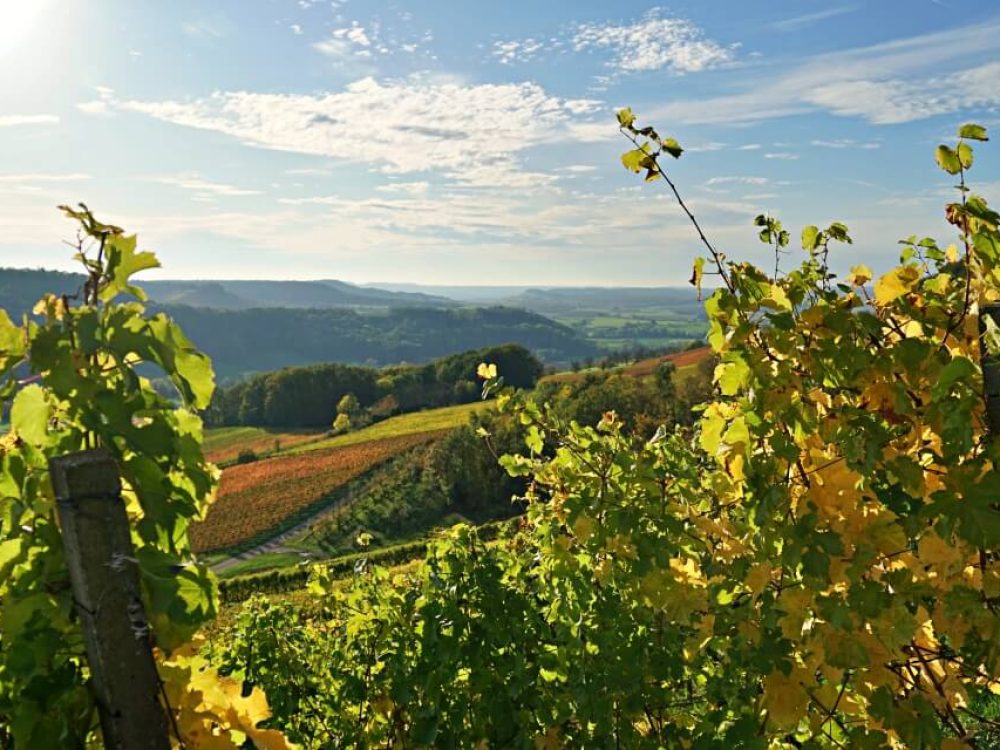 Herbstlandschaft-Hohenlohe-Geddelsbach