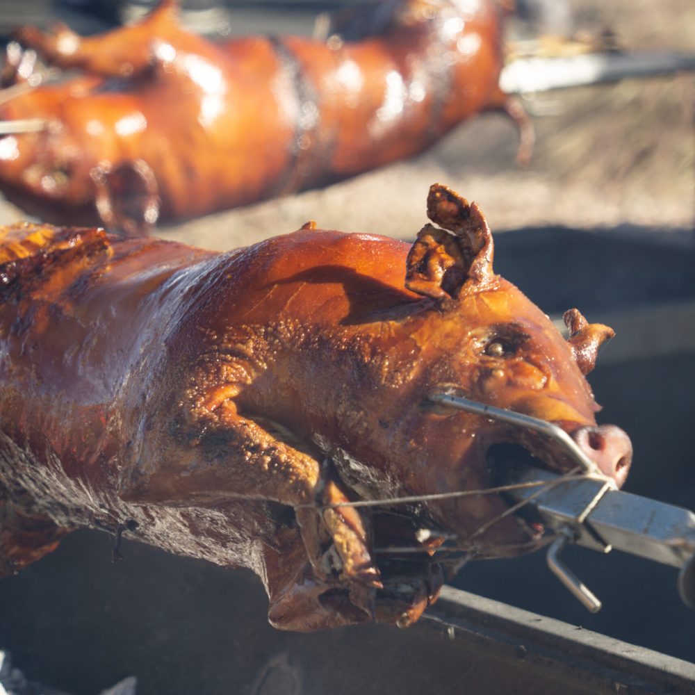 whole-pigs-roasting-over-hot-coals