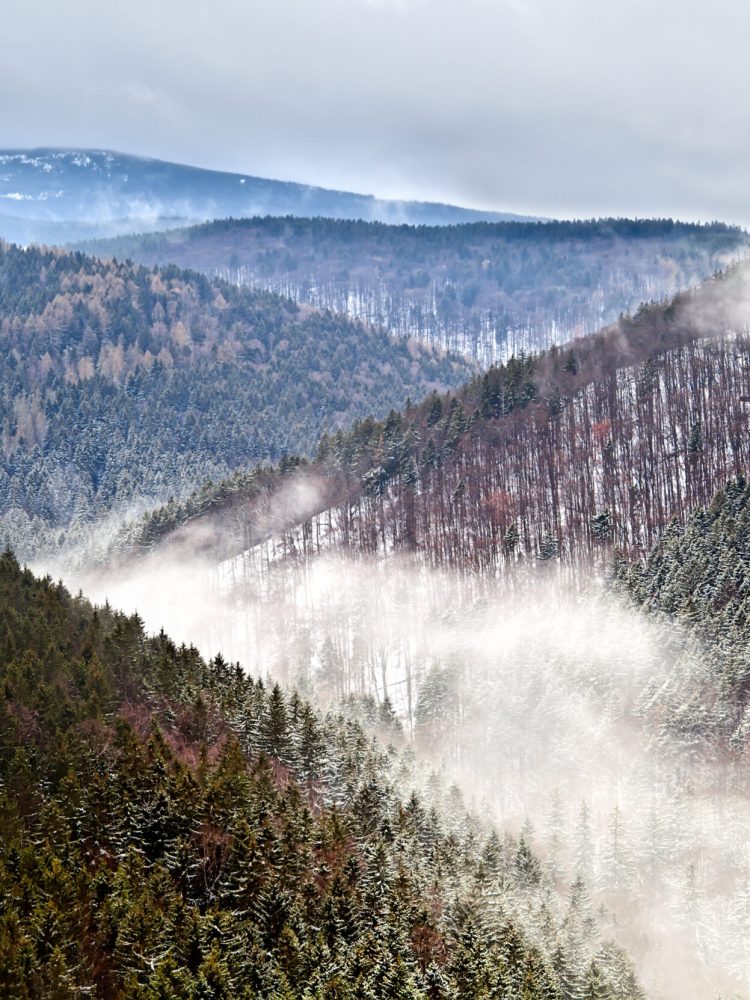 fog in winter Harz mountains, Germany, view from Ilsestein